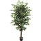6ft Green Ficus Tree in Black Pot with 1512 Silk Leaves by Floral Home&#xAE;